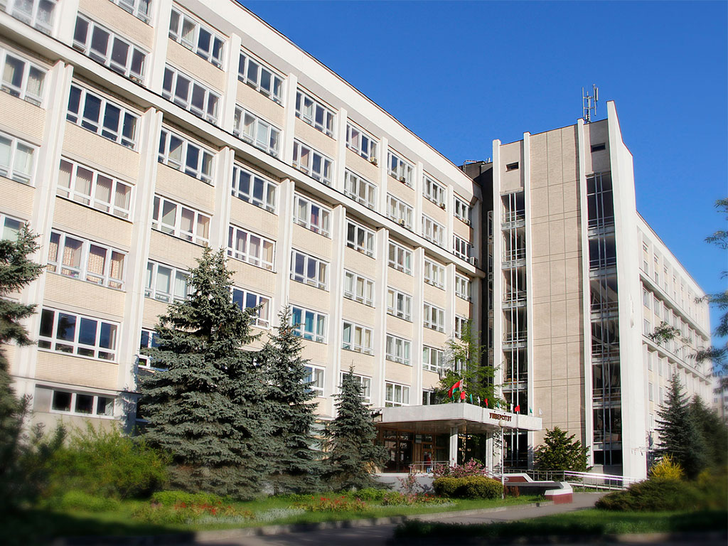 Веб камера — Строительство бассейна ФГБОУ ВО «БрГУ» — Брест