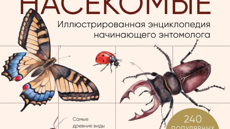 Иллюстрированная энциклопедия начинающего энтомолога